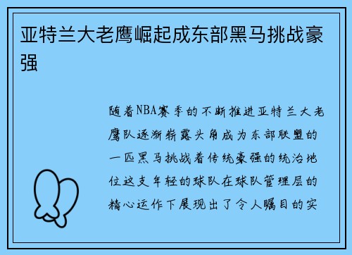 亚特兰大老鹰崛起成东部黑马挑战豪强