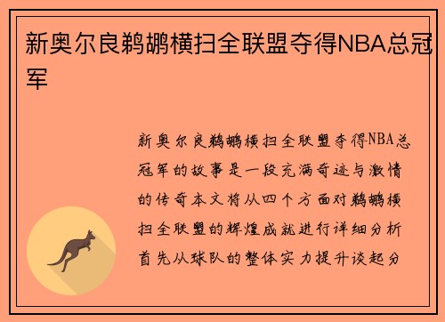 新奥尔良鹈鹕横扫全联盟夺得NBA总冠军